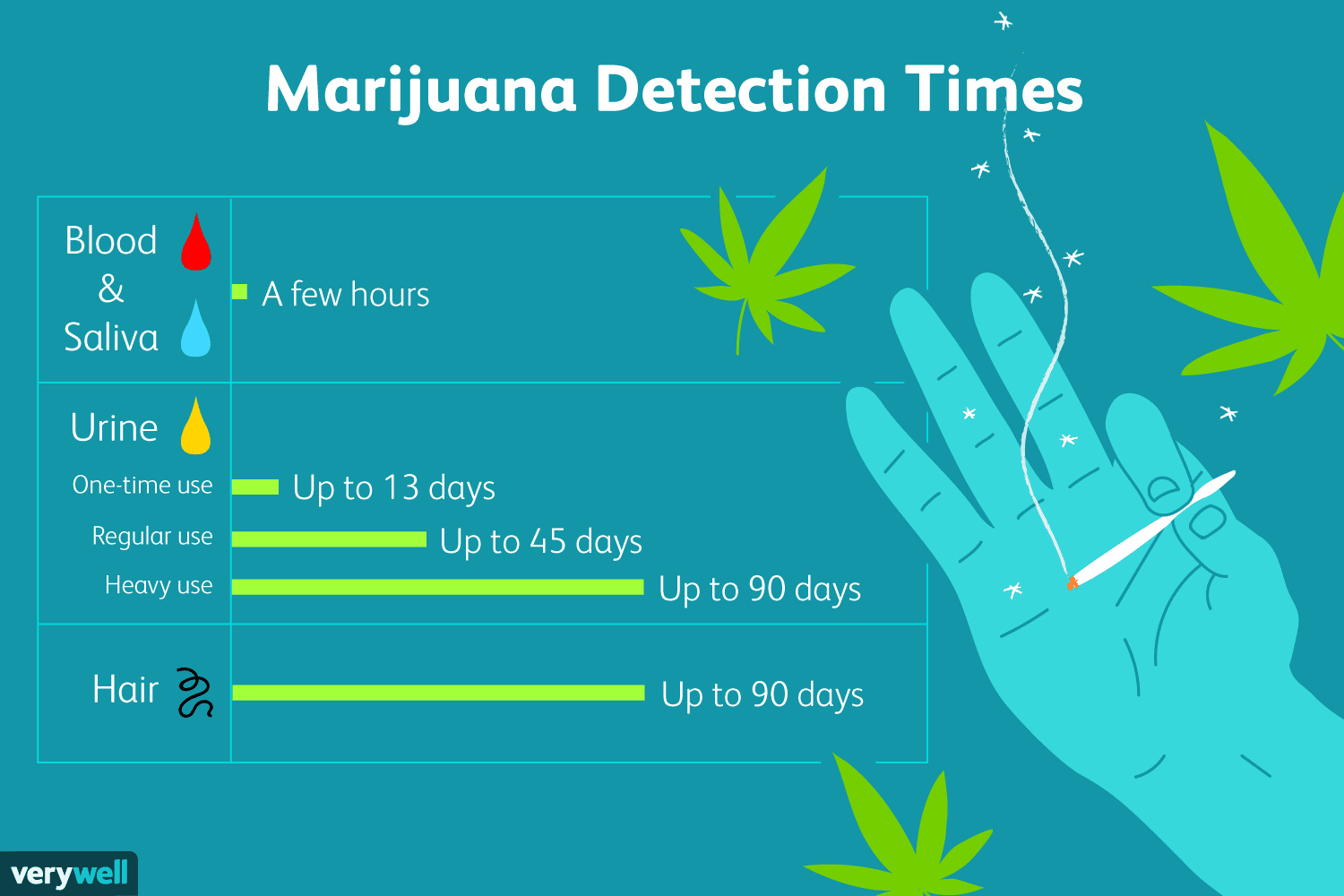 Marijuana Detection Times Diagram